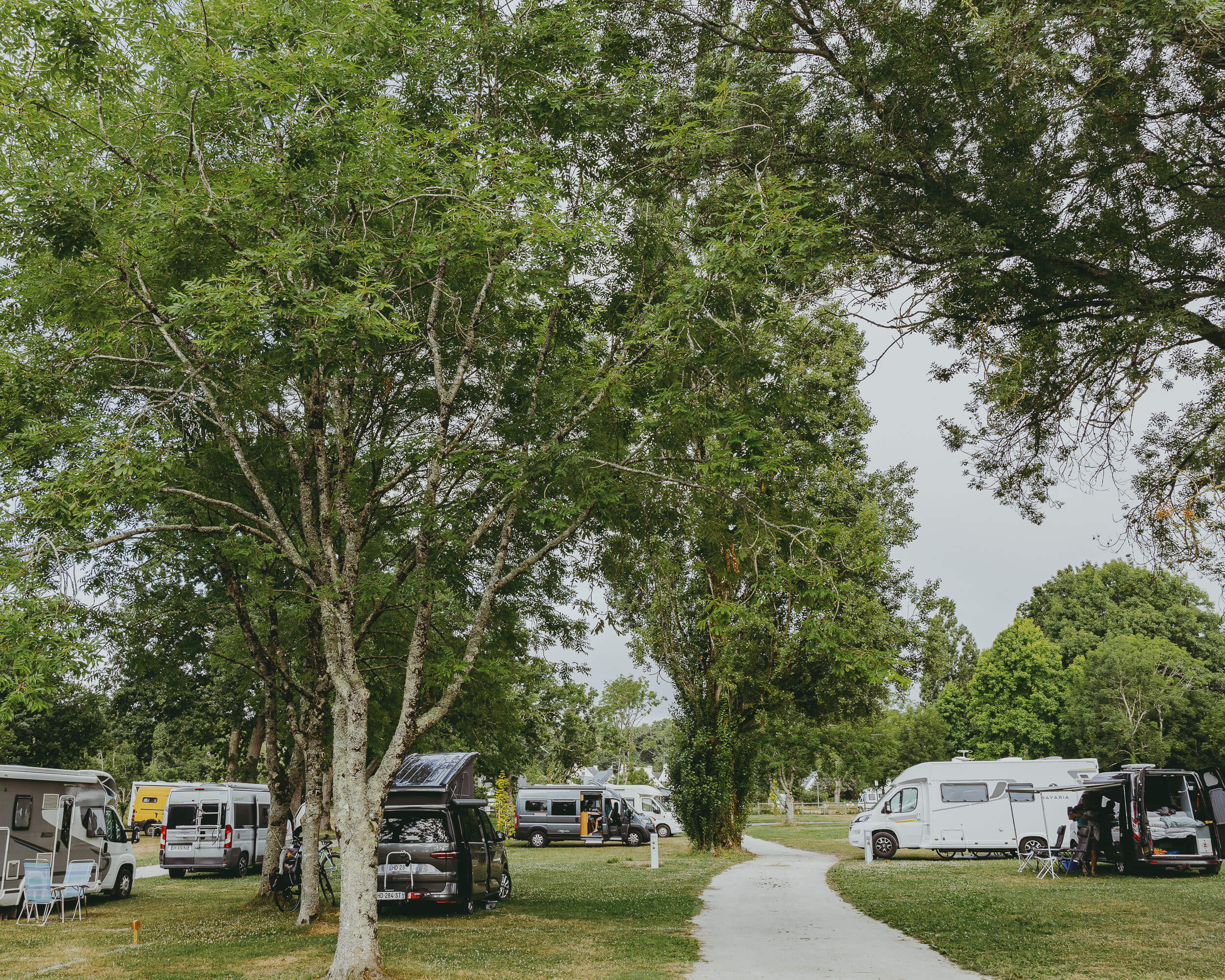 Camping d'Arradon, dans le Morbihan, le 26 juin 2025. (PIERRE MOREL / FRANCEINFO)